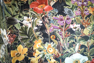 riquadro COMING SOON_ (002)